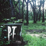 P.T. (PlayStation 4)